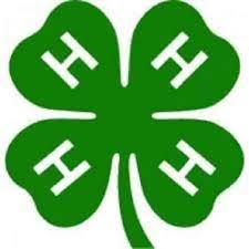 An image of the 4-H logo. It's a green four-leaf clover with a capital letter h on each leaf.
