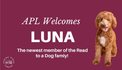 Read to a Dog - Meet Luna