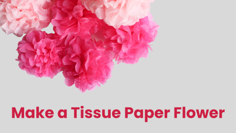 Make a Tissue Paper Flower