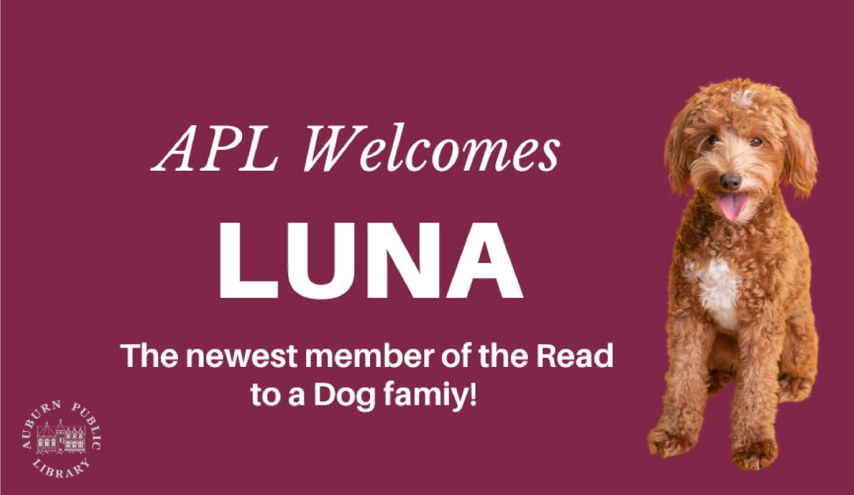 Read to a Dog - Meet Luna