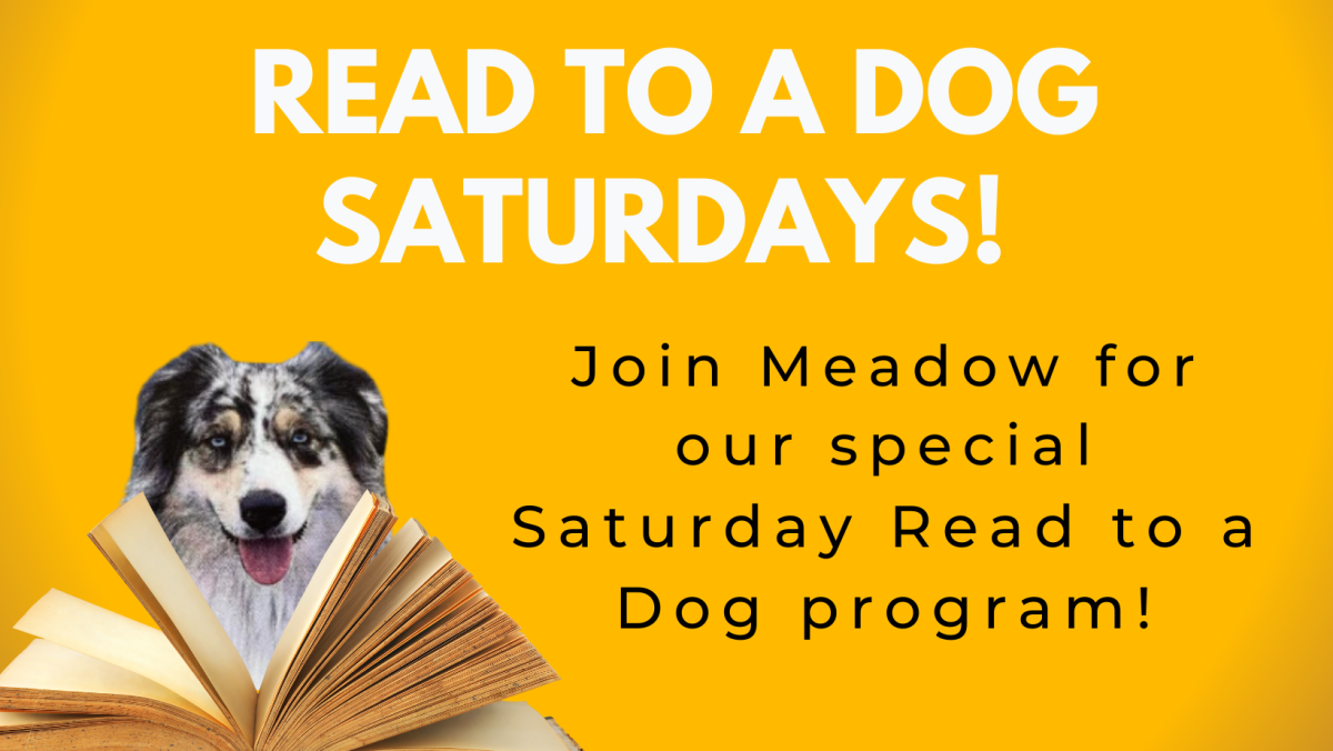 Read to a dog Saturdays