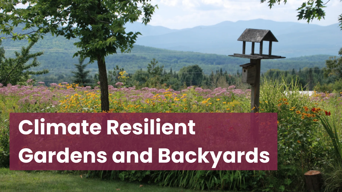 Resilient Gardens