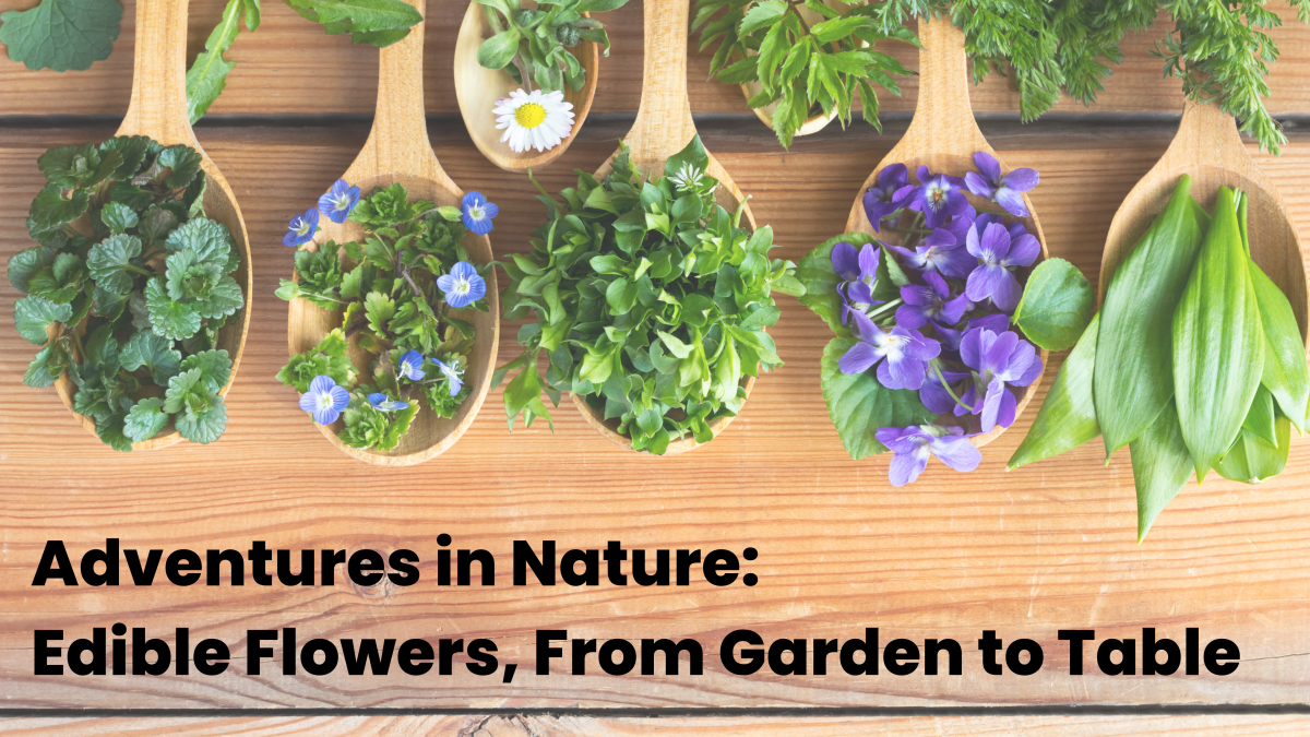 Wooden spoons with edible flowers